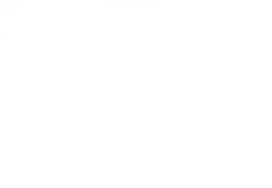 <p><strong>Presence</strong><br /> in remote areas</p>
<p><strong>Presence</strong><br /> in remote areas</p>